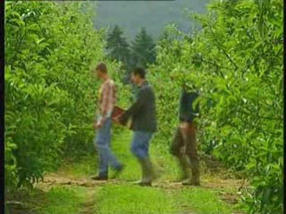 Making of Temps des Souris