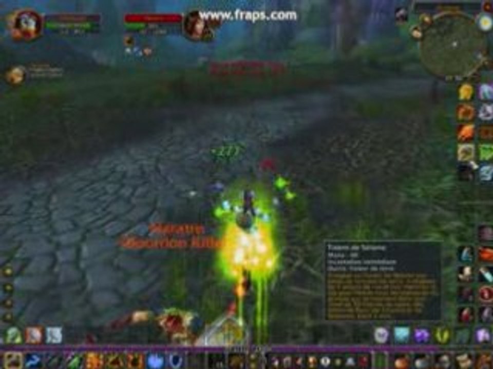 Chaman versus paladin