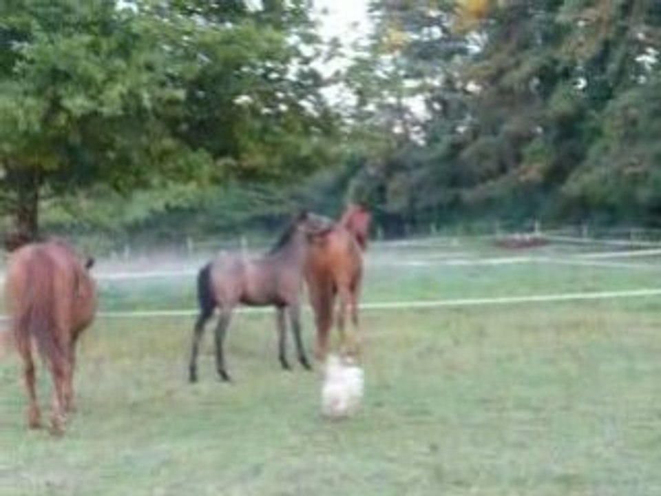 September 9th Highlights (101)