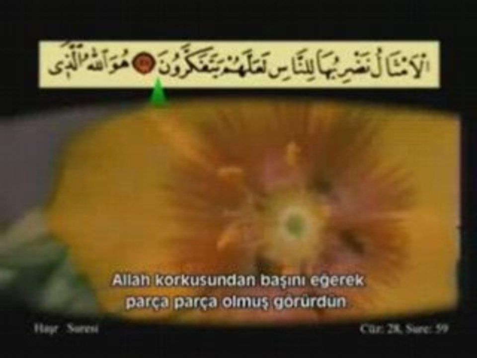 Ahmed El-Acemi - Haşr Süresi