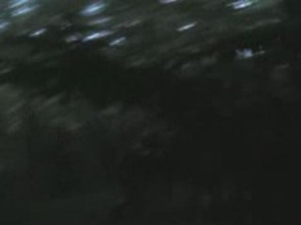 Wrath Of Contaminated