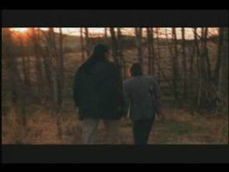 Cinema Trip Tych Promo