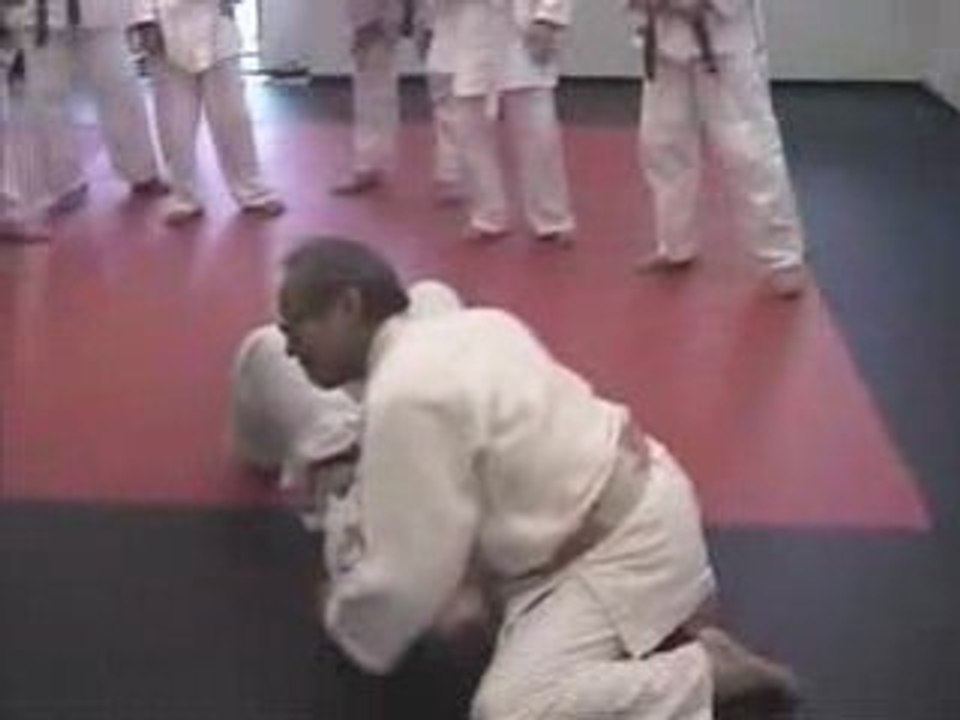 Sensei Matsumura Newaza Transitions