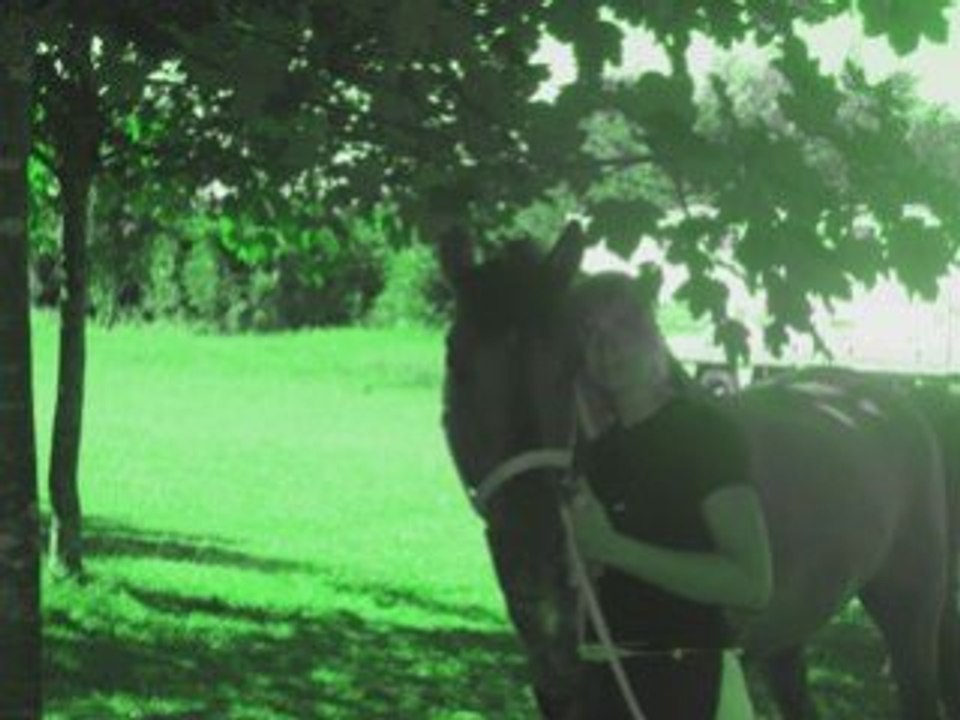 Mon truelove d amoure