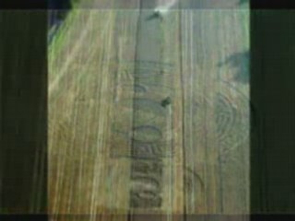 crop circles anglais,été 2008