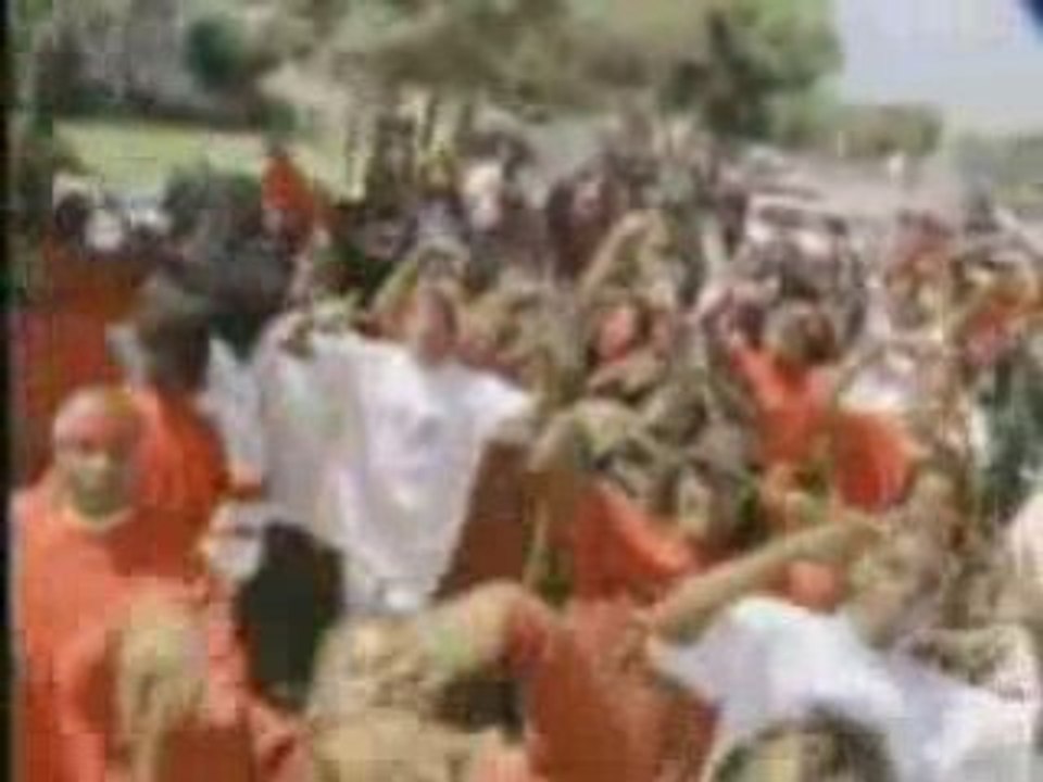 Bloods & crips  "Shuda Beena B-Dog"