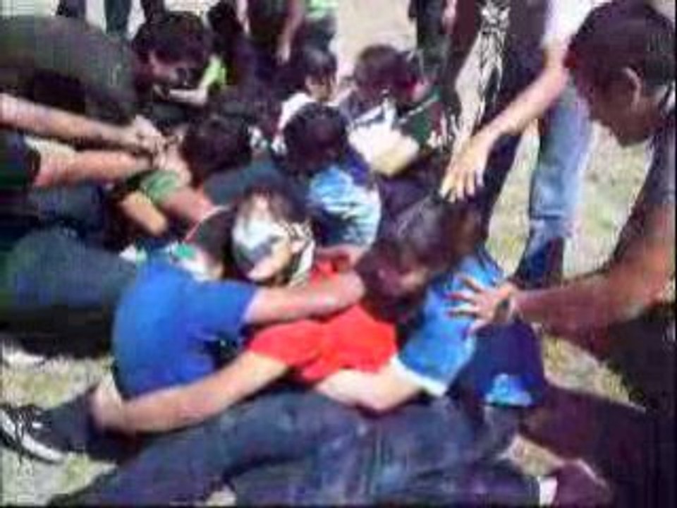 Arranca Cebolla Mejicano