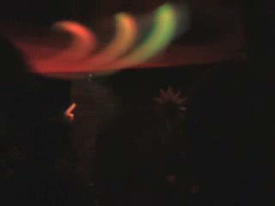 FLUOKIDS WORLD AFFAIR 2008