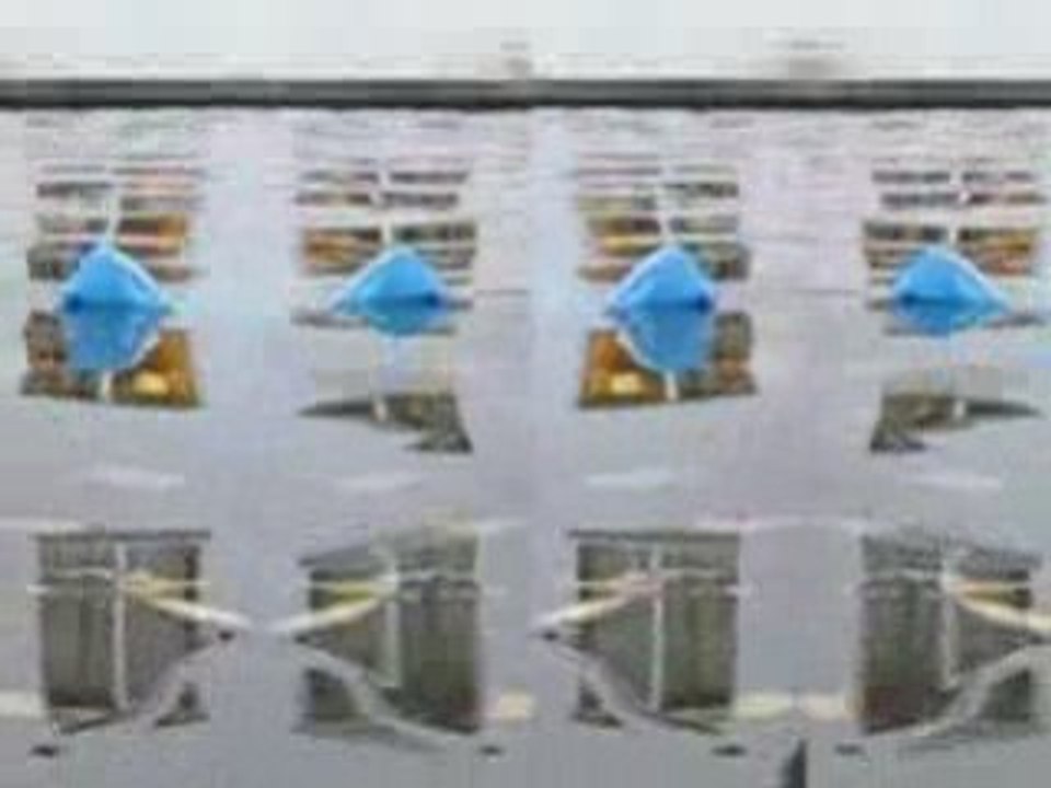 Primordial Palindrome