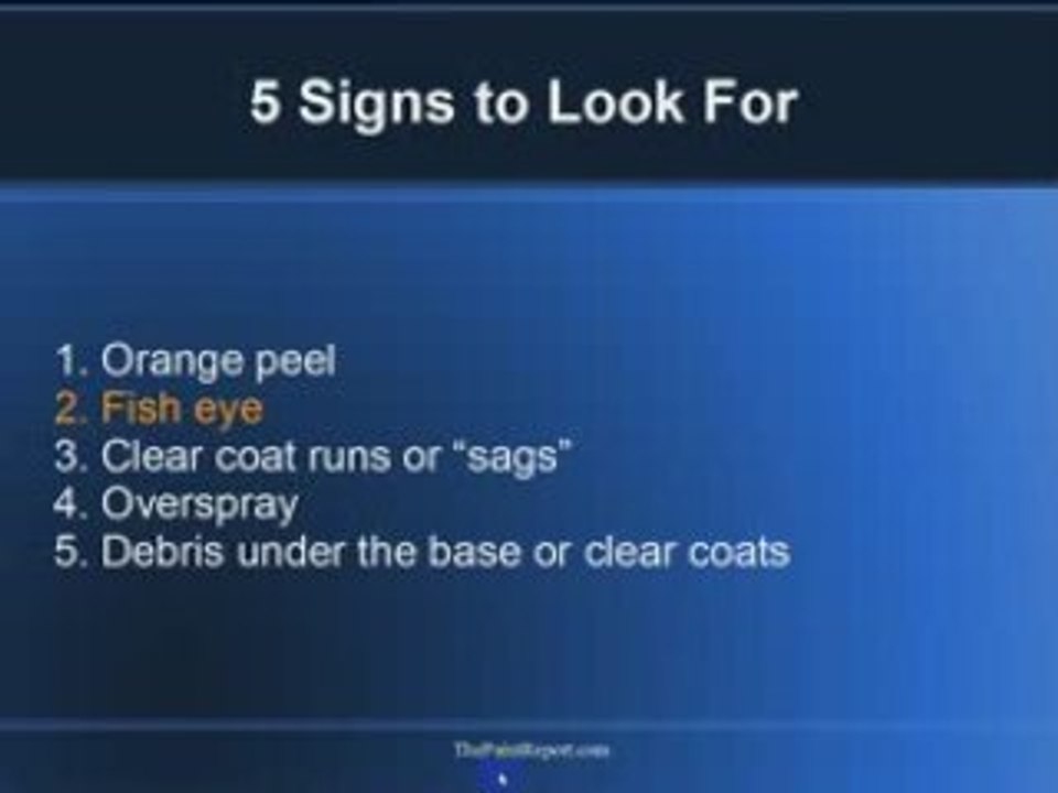 Fish Eye Short Video