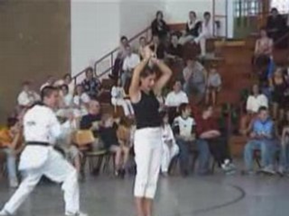 Taekwondo - Video Highlights 2000