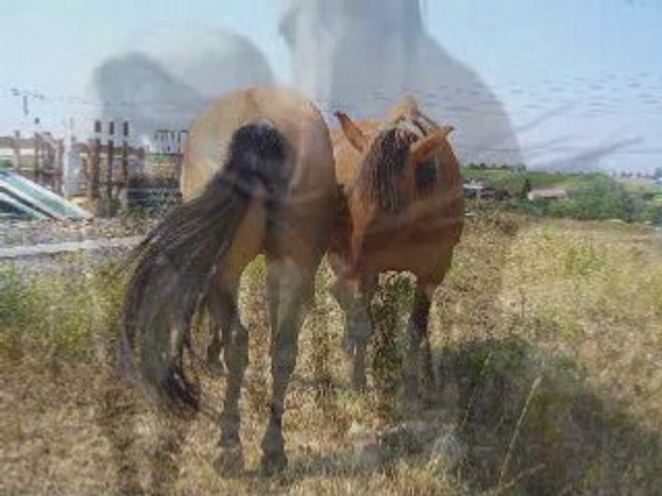 Pour elle et elle par elle