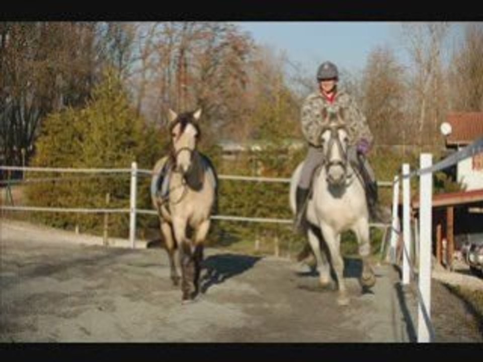 Faby et Bambu : 1 an et demi ensemble 🌱