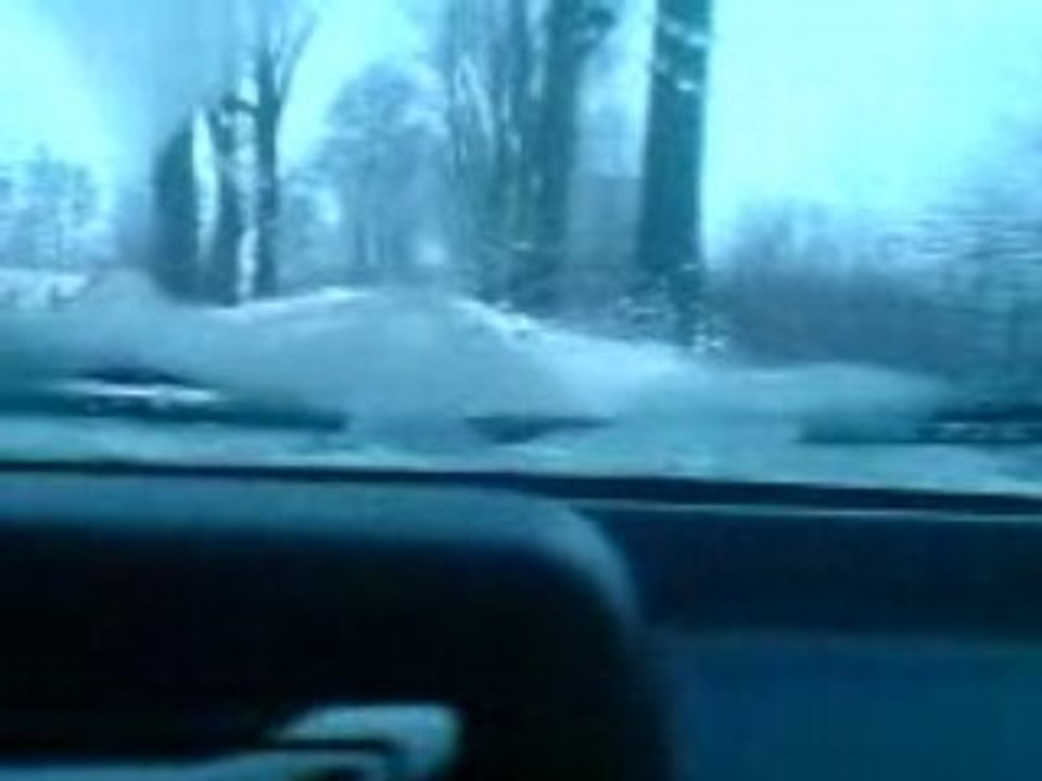 Car & Music Collection 🚗🎶