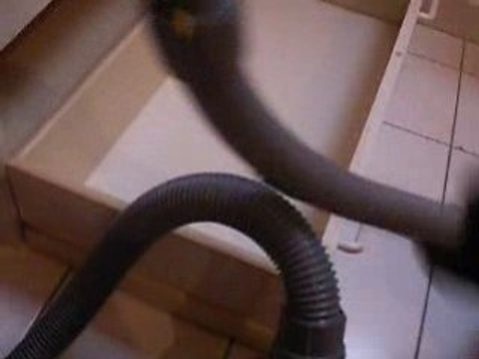 Belly versus l'aspirateur