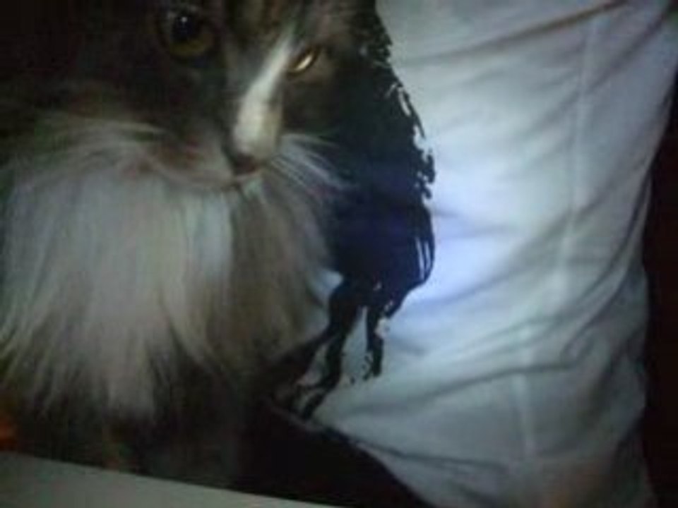 Myshumlan: Discover Unique Cultural Insights