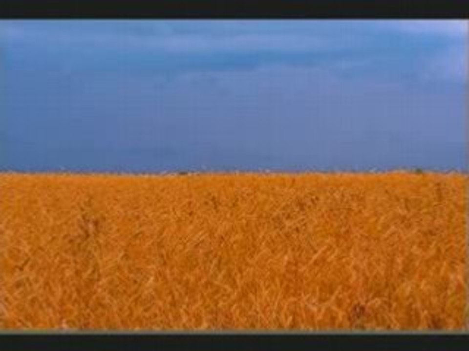 Петриненко-Україна