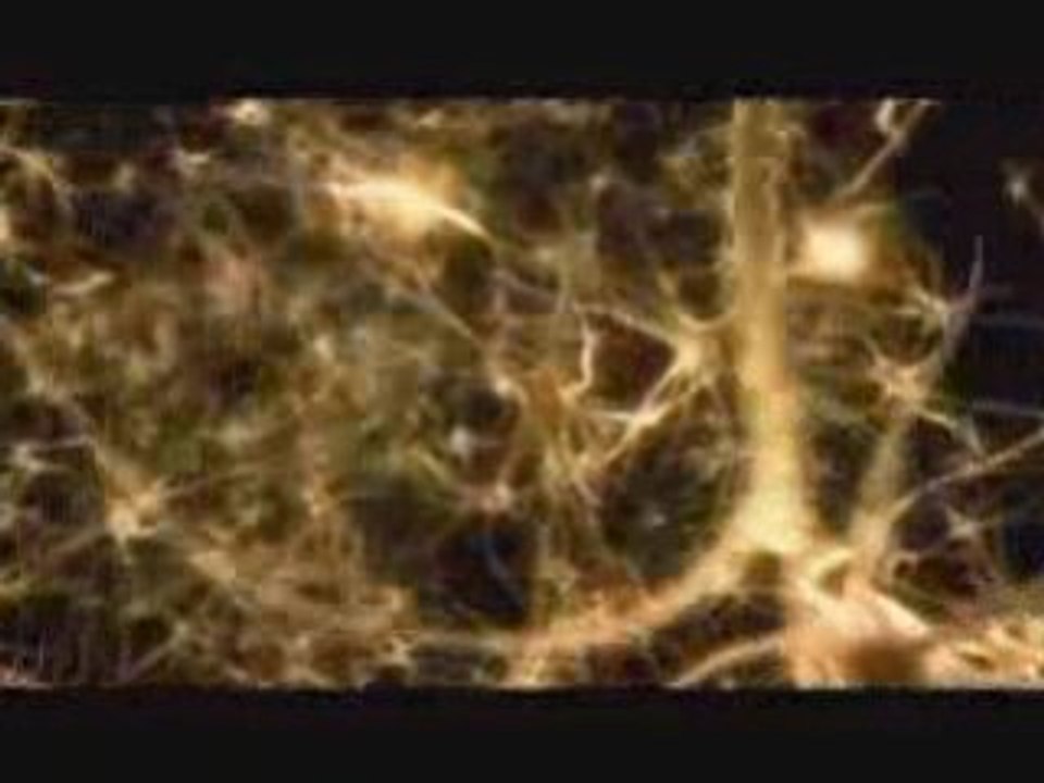 Мозг (новости и комментарии)