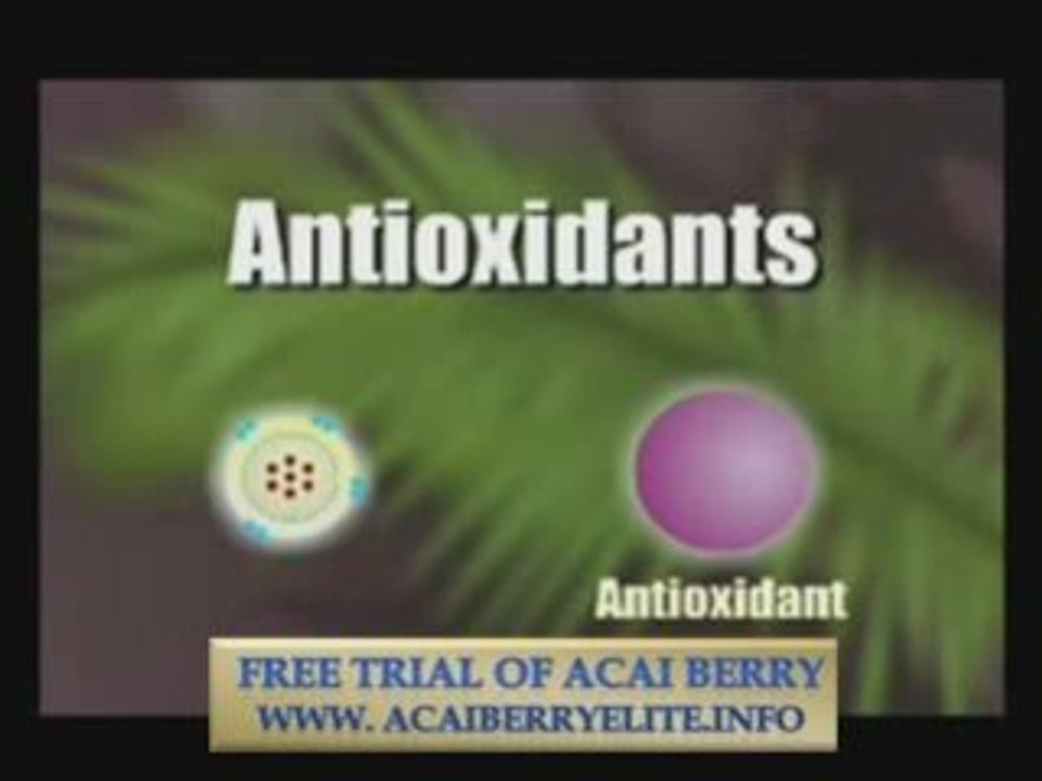 How Antioxidants work