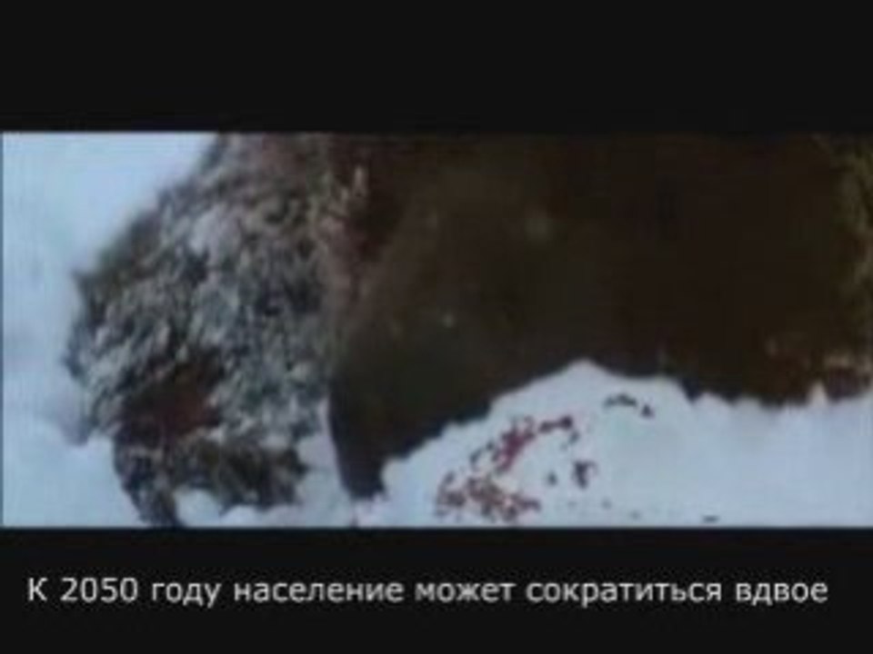 ЭТО ШОКИРУЕТ !!! ГИБЕЛЬ РУССКОЙ НАЦИИ !!!