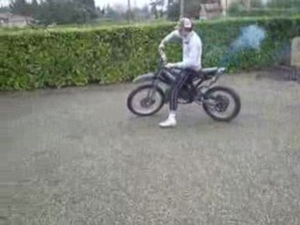 top rose + pot kx 80