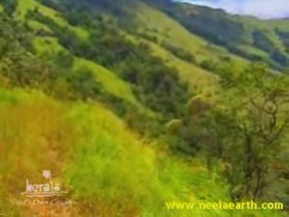 Wayanad - www.neelaearth.com