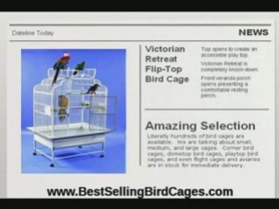 Types of Parrot Cages
