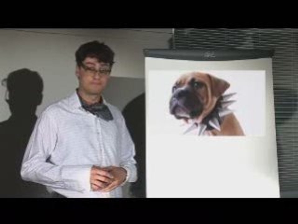 English - BBC - Idioms - Dog