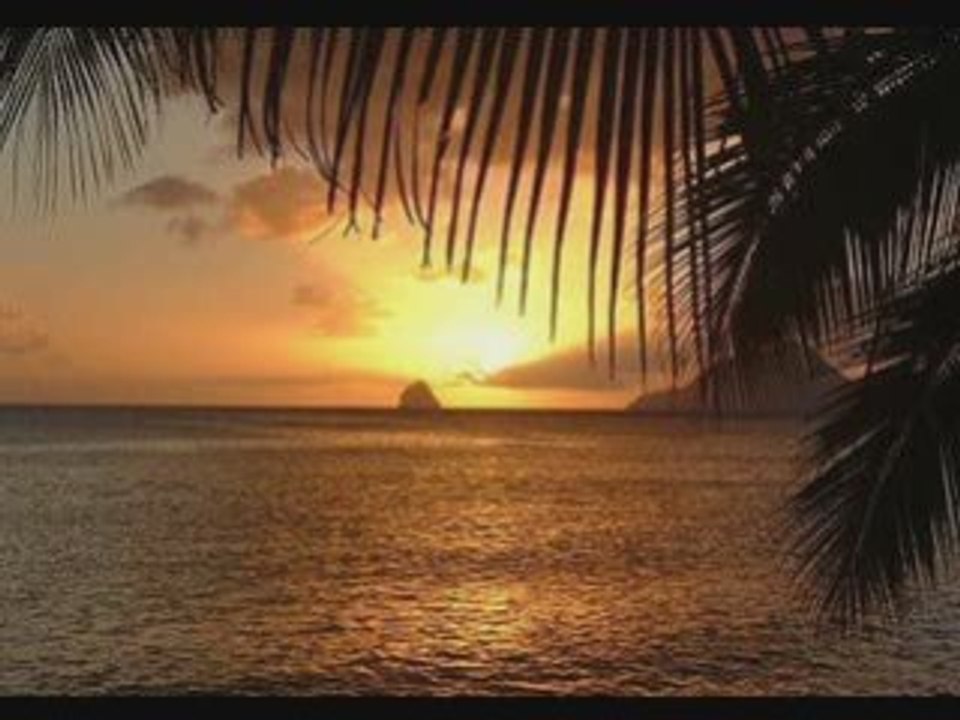 FUNK69330.skyrock.com ..!!!-69($$ TAM'$ $$)69-!!!..