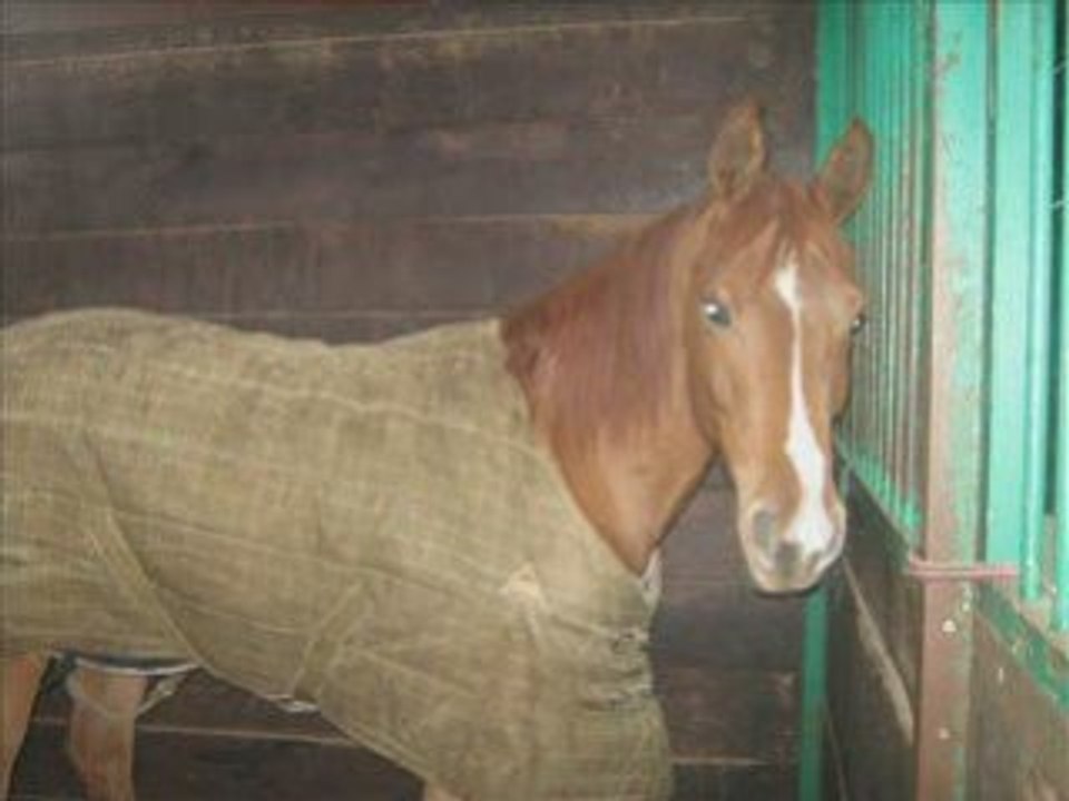 Madou et moi: Notre histoire