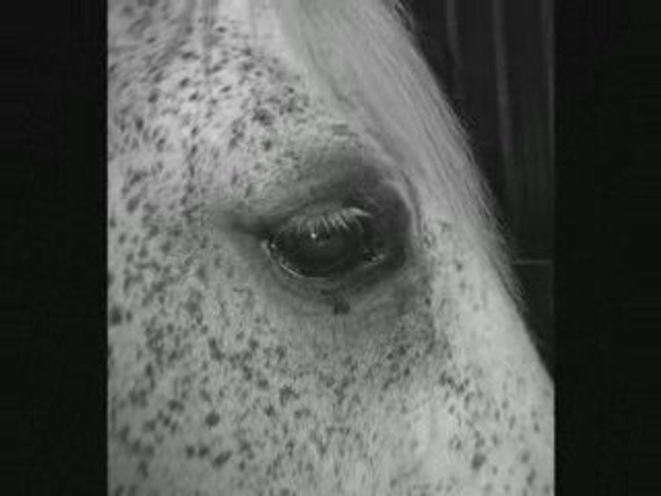 How to save a life ...