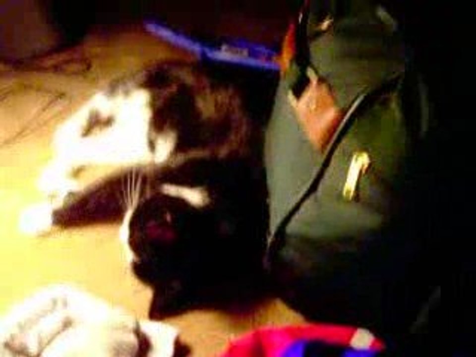 fÃ¼rGarudayoga, Adliswil; Entspannung für Körper und Geis...