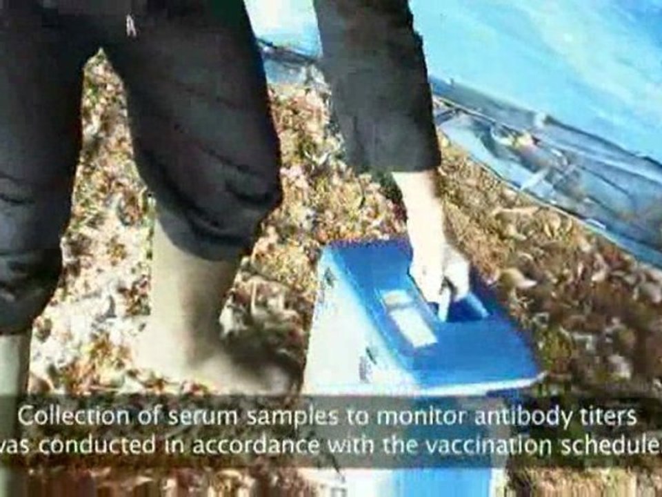 Field Trial Vaccination #5 (Field Trial Vaccination Study)