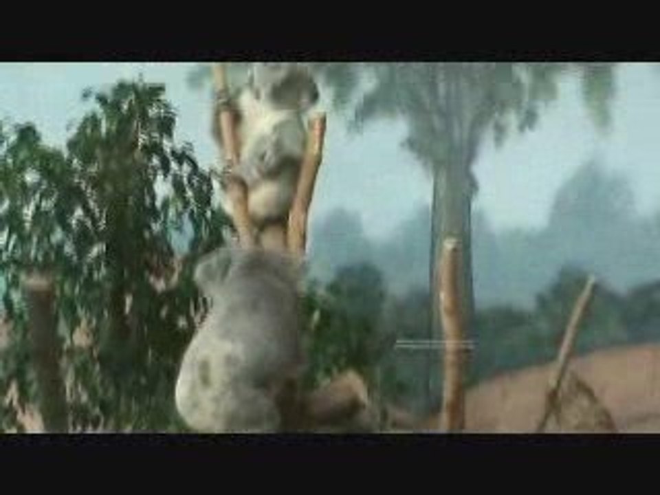 Koala versus koala