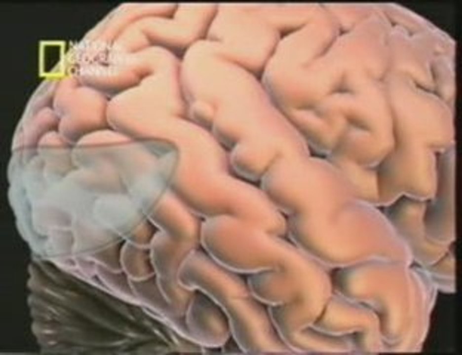 Implante cortical visual