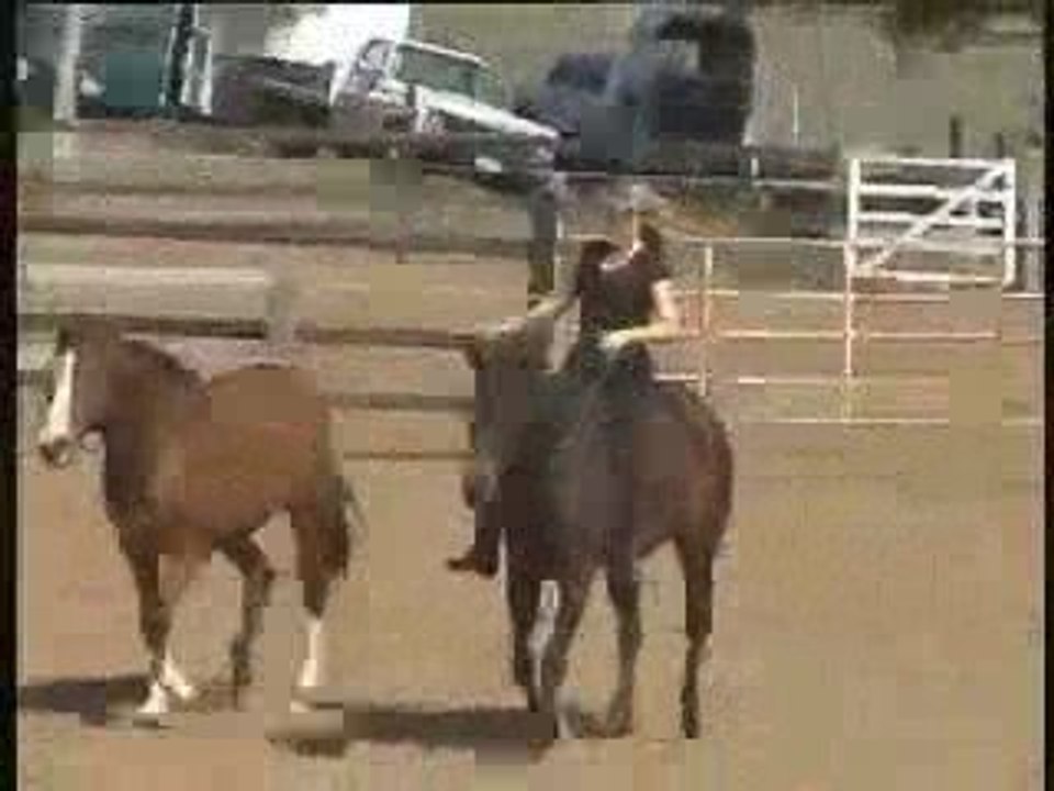 About Quantum Savvy Natural Horsemanship