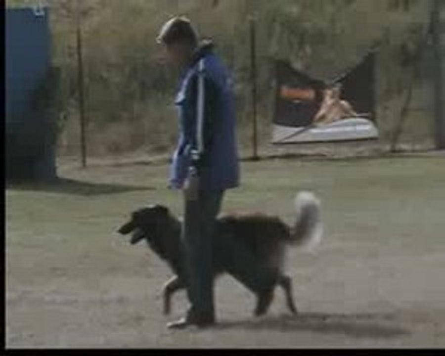 DEFENSE BREVET DEFENSE COPS