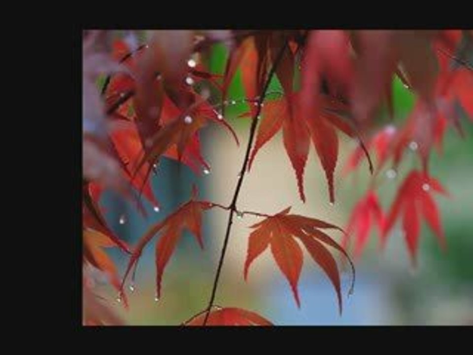 Learn Spanish: colors and basic vocabulary 2/11