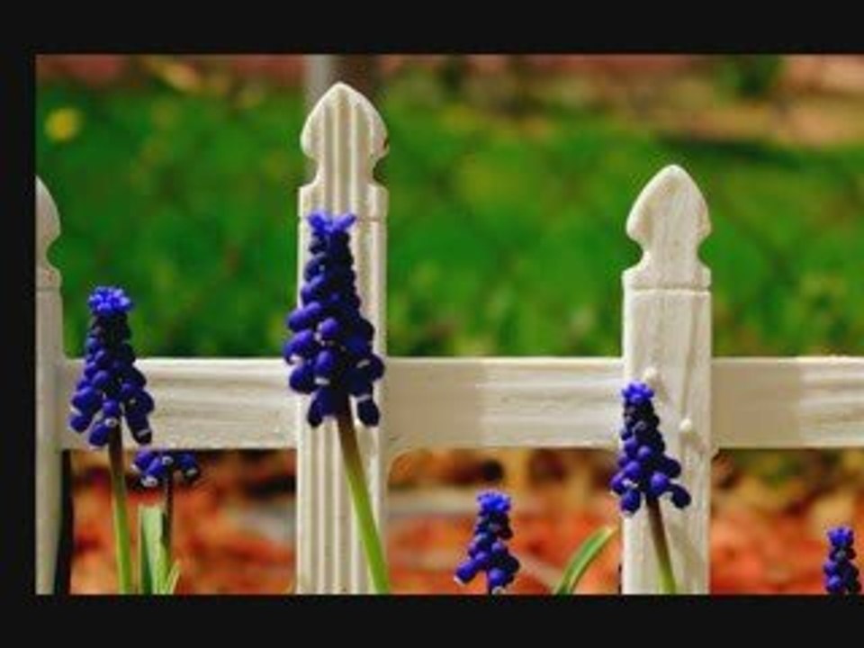 Learn Spanish: colors and basic vocabulary 4/11