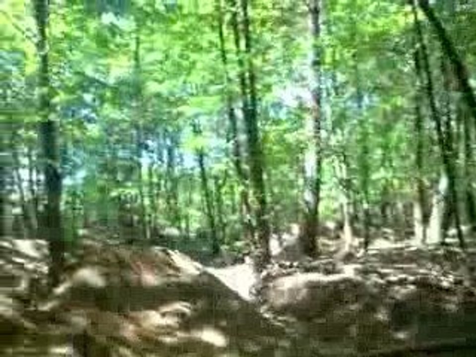 Alexis and Thomas and Lucas